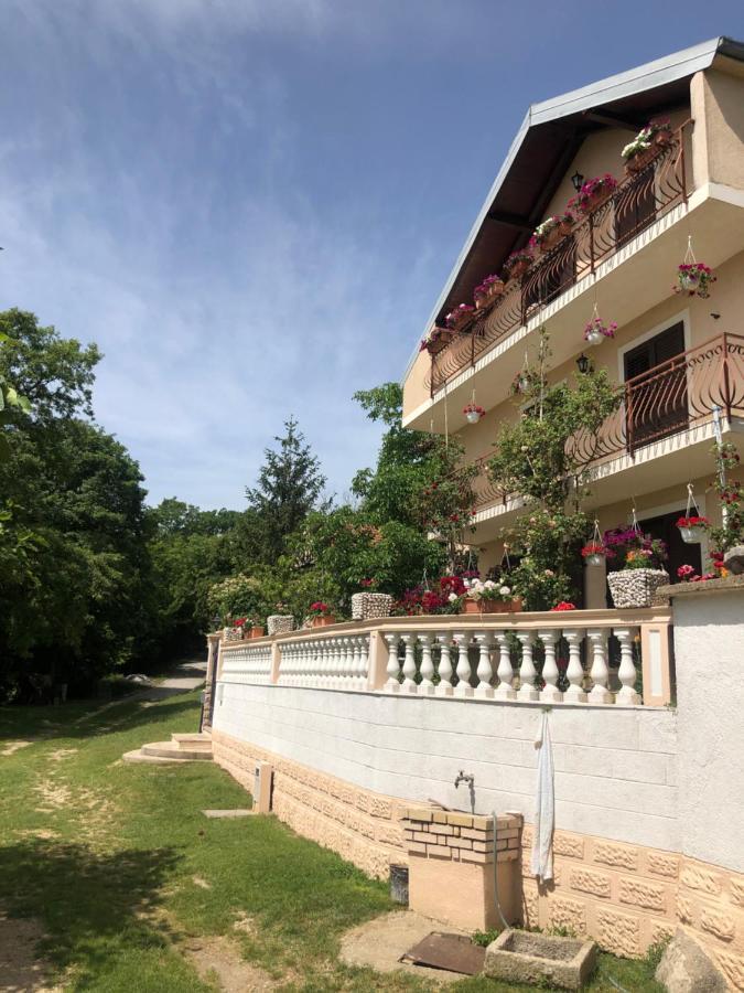 Apartman Ana Vrlika Exterior foto